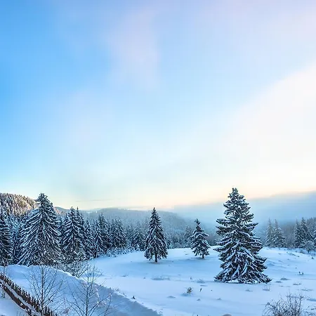 Amampuri Village * Pamporovo