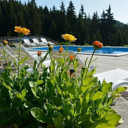 Villa Amampuri Village Pamporovo