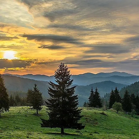 Amampuri Village * Pamporovo