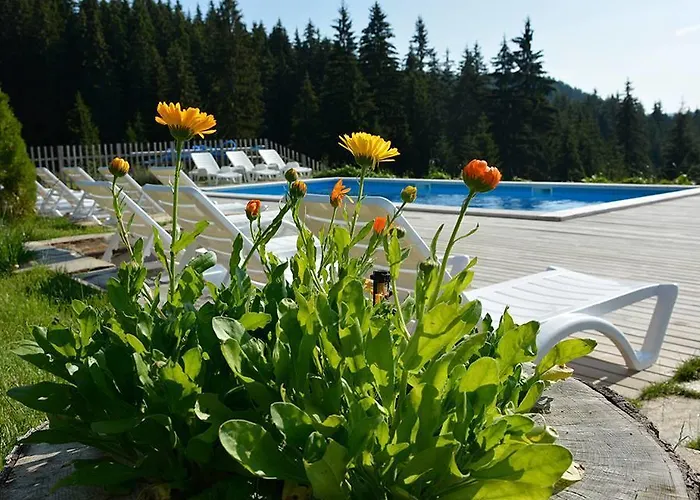 Вилла Amampuri Village Пампорово